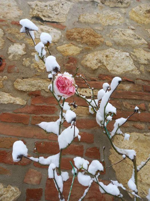 Villa Agriturismo Ardene Montepulciano Stazione Exterior foto